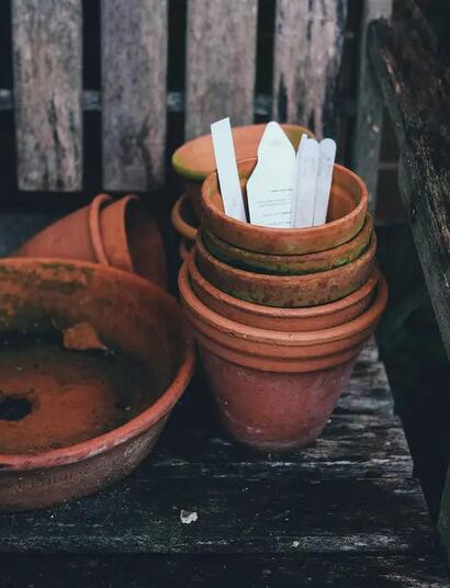 Beim CannaIndoor-Anbau gibt es eine große Auswahl an Substratmedien.