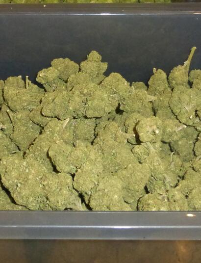 L’ANSM interdit le HHC