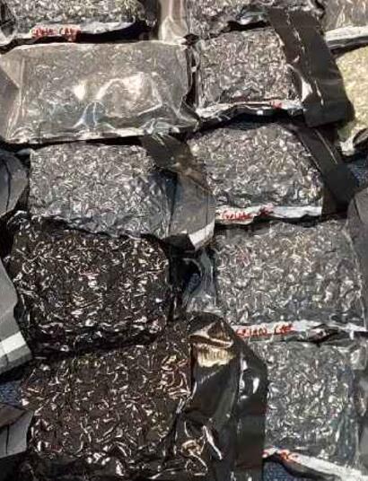 (Foto: Politie Den Haag)