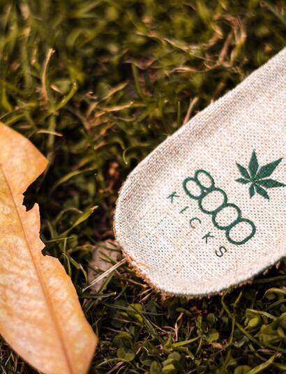 8000Kicks - Auf "Hemp Revolution" folgt Festnahme 