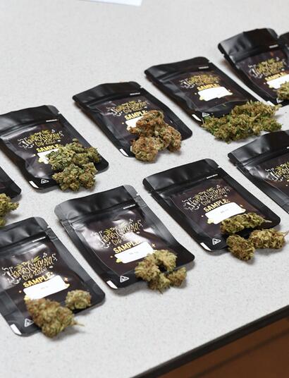 La HomeGrown Cup, championnat d’Europe des cultivateurs