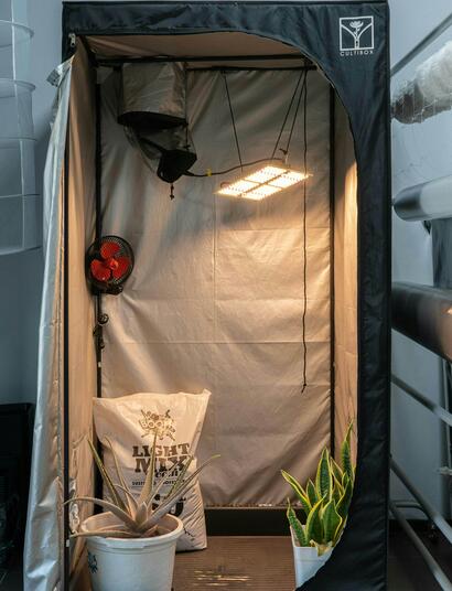 Even when cultivating indoors, as temperatures drop, it's important to monitor your Grow Room to ensure your plants remain healthy and content.