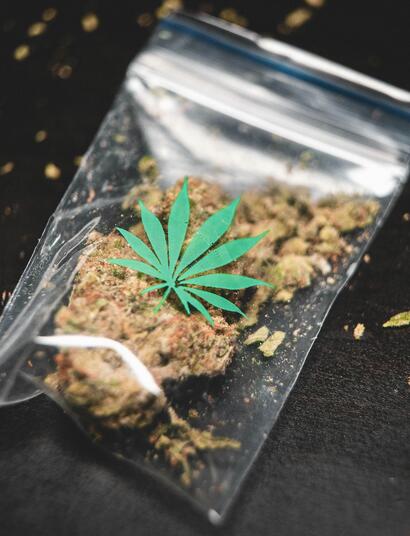 it's important to learn how to differentiate between high-grade "dank," mid-grade marijuana, and low-quality "bog weed."