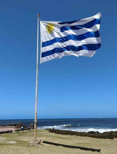 In 2025, Uruguay established itself as a key player in the global cannabis market, maintaining its pioneering status and enhancing its export capabilities.
