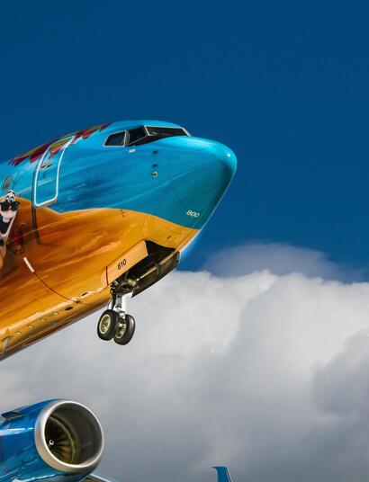 How Strict are Airport Cannabis Checks