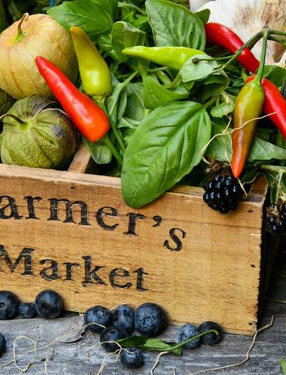 New York State is taking significant steps to revolutionize the cannabis industry by allowing farmers to sell legal marijuana at local farmers' markets.