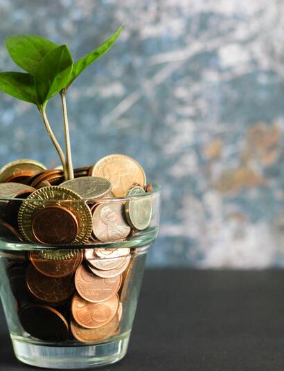 Reducing costs on electricity and nutrients can significantly improve your overall yield 