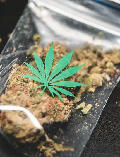 Woran erkennt man g Cannabis? Über Trichome, Terpene, das CanG und wie man gefährliche Streckmittel sicher entlarvt.