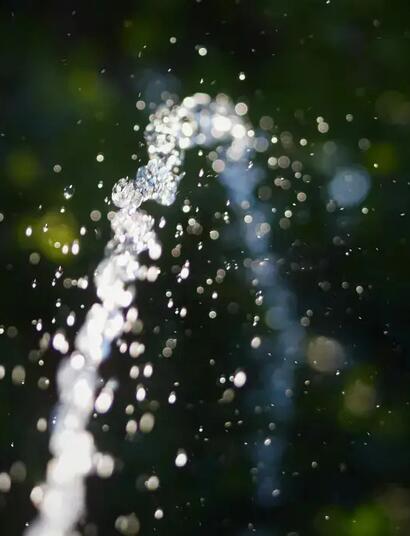 Vermeide Ernteausfälle! Erfahre alles über pH-Wert, Überwässerung und die ideale Wassertemperatur beim Cannabis-Anbau. 