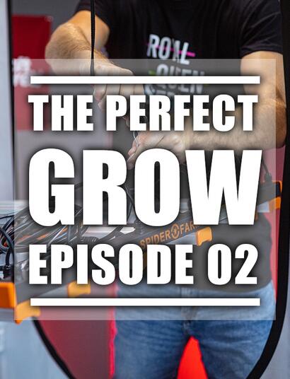 The Perfect Grow: Jak sestavit pěstební stan