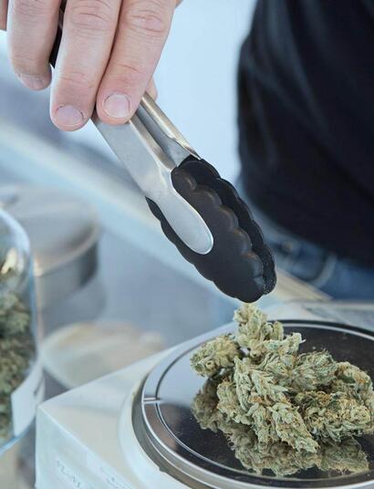 working with chunks of weed.