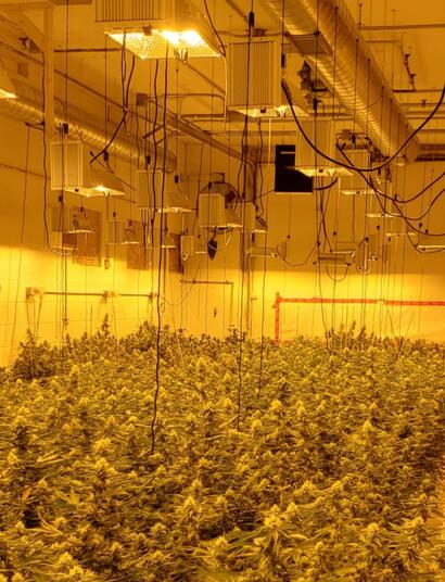 10 Tops Tips on How to Keep a Clean and Tidy Indoor Cannabis Grow Room