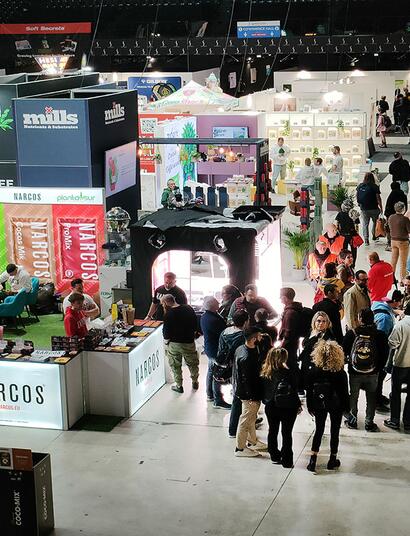 10 anni di Indica Sativa Trade