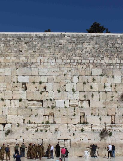 Gerusalemme-israele-erba-medica-terapia-gaza