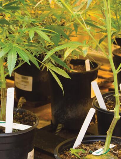 Testing the varieties