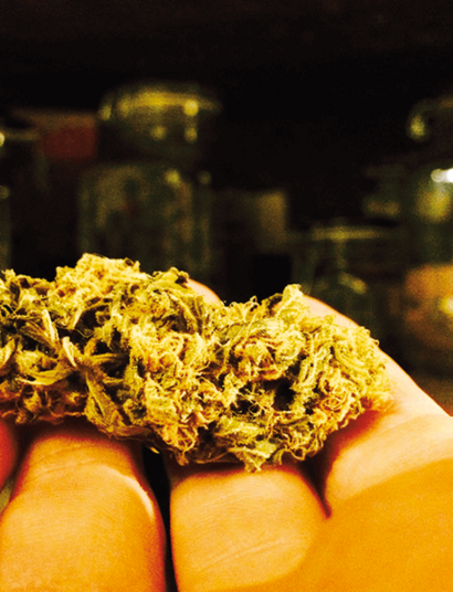 Guardando el cannabis