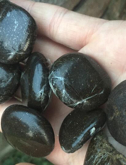 L'héritage génétique Indien et le Charas, une tradition millénaire.