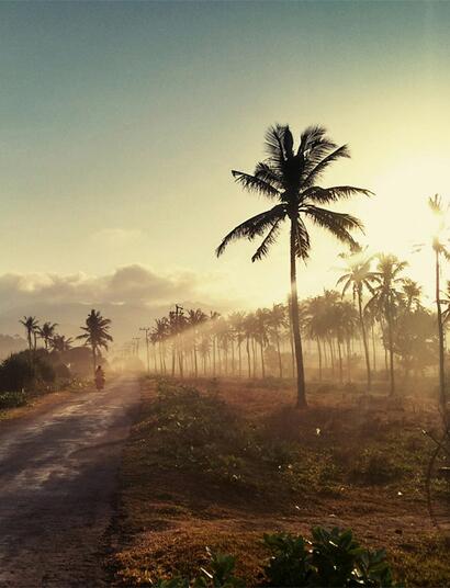 US-Basketballer droht in Indonesien Todesstrafe