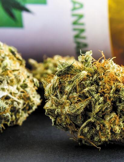 Jak degustować marihuanę?