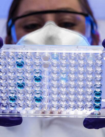 Jaká je budoucnost léčebného konopí?