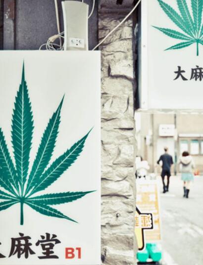 Japonia i syntetyczne kannabinoidy