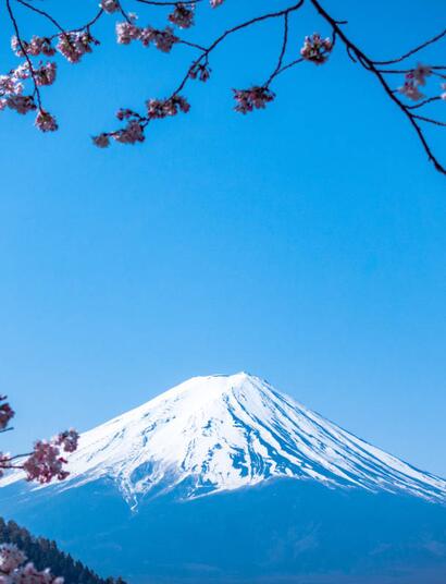 Japonsko vyšlo vstříc s konopím jen pacientům