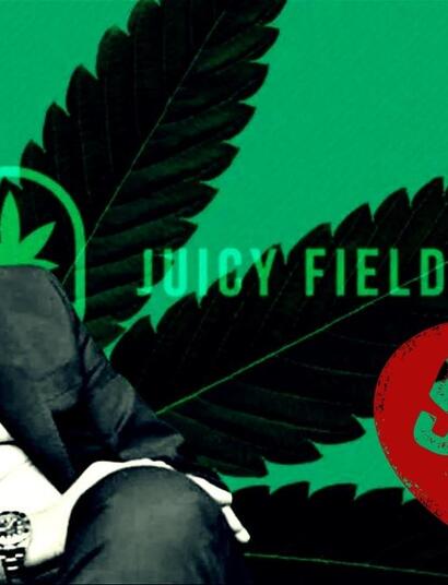 Juicy Fields – exit scam