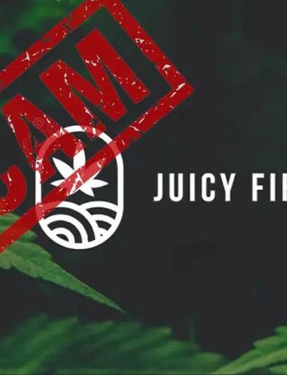 Juicy Fields scam.