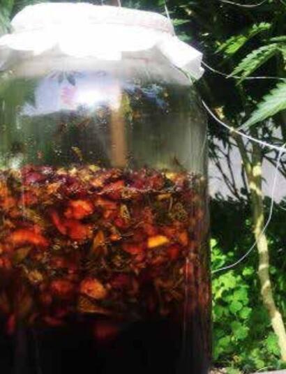 Jus de plantes fermentés