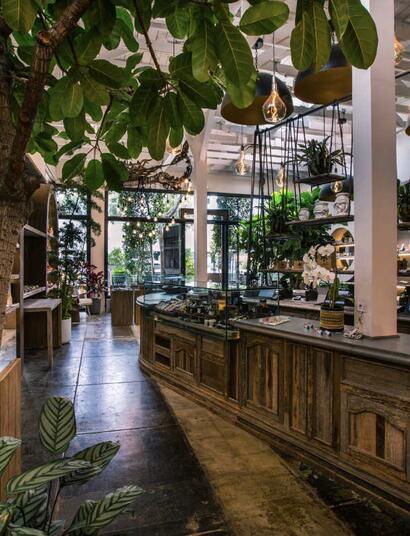 Kalifornie: Coffeeshopy konečně jako v Amsterdamu