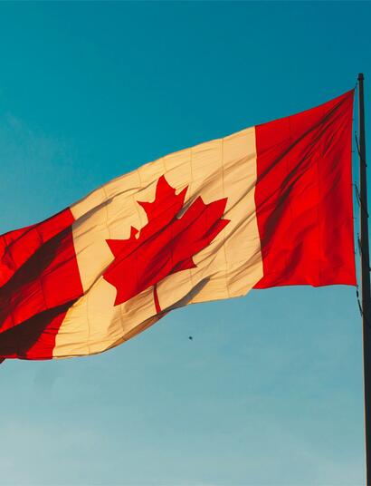 Mit über 62 % an Kanadas gesamten Cannabisexporten ist Deutschland kein bloßer Abnehmer mehr, sondern der Anker der Branche.