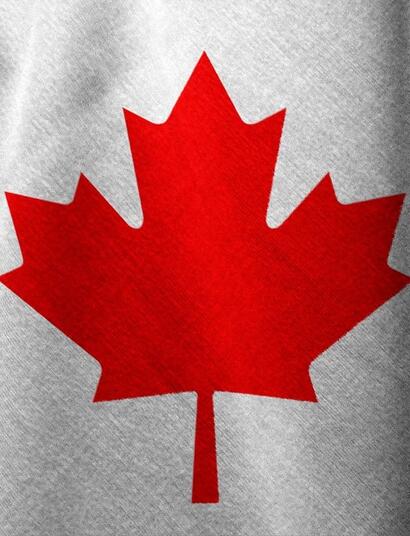 Kanadas legaler Cannabismarkt wächst stabil