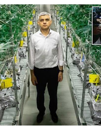 Sadiq Khan in LA weed farm