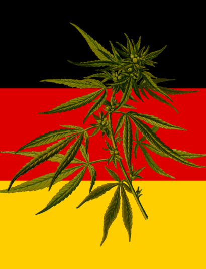 Koalicja sygnalizacji świetlnej ZA legalizacją konopi.