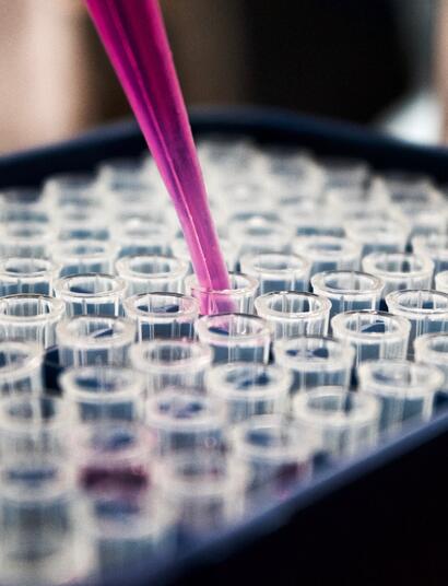 Konopné terpeny a cbd proti koronavirům