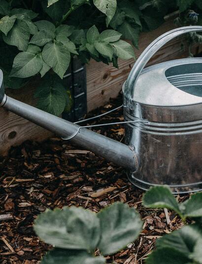 Kompostový čaj: Přírodní elixír pro rostliny