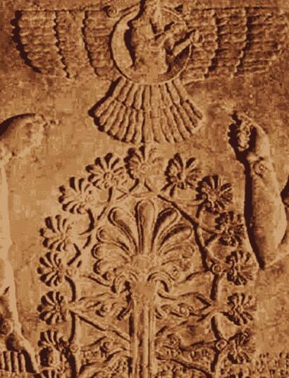 Konopie: od starożytnych reliktów do współczesności