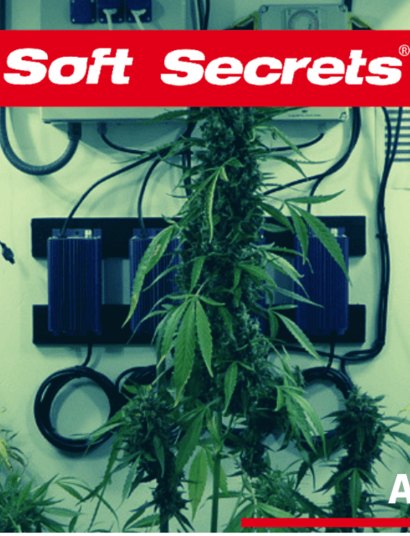 Automaty XXL: cel osiągnięty