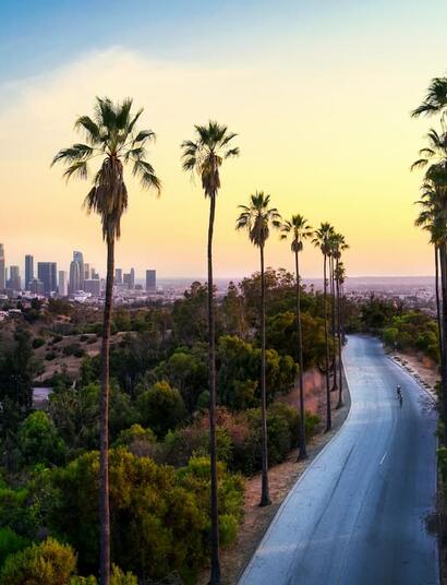 Planning a trip to the City of Angels? Check out trending cannabis consumption lounges, West Hollywood’s Emerald Village, and the latest rules for tourists in Los Angeles.