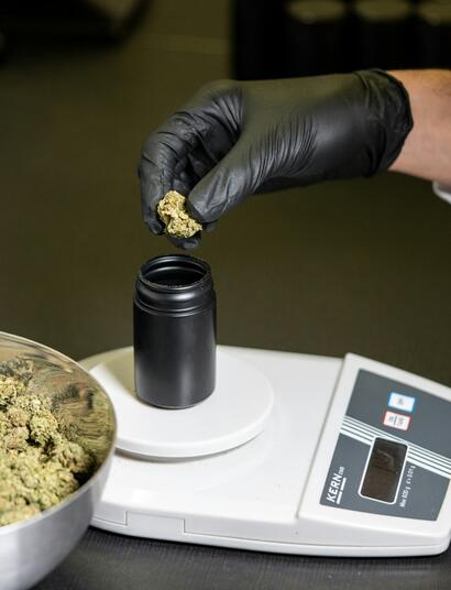 How should the quality and safety of cannabis products be ensured?