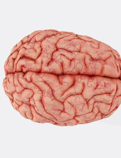 Linfoma Cerebral