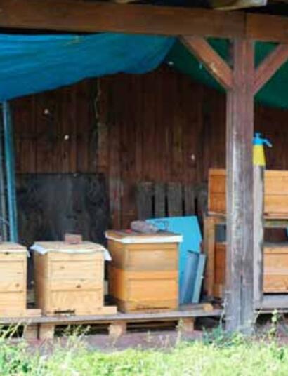 Les cultivateurs se connaissent dans la vraie vie ou par internet et s'échangent des conseils. Chacun a de bonnes idées à partager. Il se peut cependant que ceux qui suivent ces conseils se retrouvent déçus. Les Air pots - qui favorisent l'oxygénation des racines - sont excellents pour la croissance de plantes dans une cave humide. Mais on ne peut pas en dire autant des locaux de culture particulièrement chauds et sec avec une exposition au sud. Faut-il choisir un terreau spécial pour les