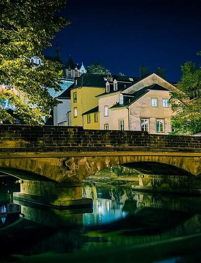 Luksemburg pierwszym krajem europejskim z legalną uprawą marihuany w celach rekreacyjnych 