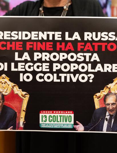 Diffida al Senato per il ddl IoColtivo: 54 mila firme sulla cannabis ignorate dal governo
