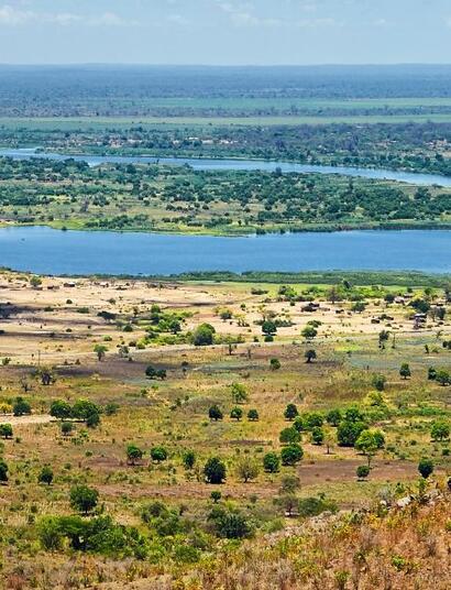 Le Malawi demande à Mike Tyson d'être ambassadeur du cannabis