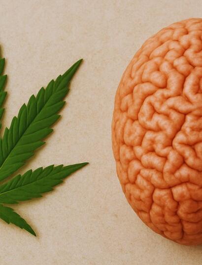 Marihuana i psychoza