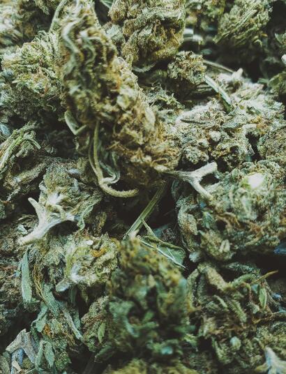 Marihuana medicinal: Resultados en pacientes de cáncer
