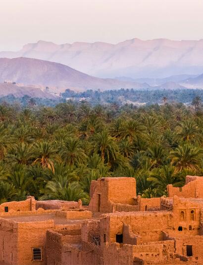 Das beste Hschisch aus Marokko stammt aus Ketama. Dort wurde schon immer Haschisch hergestellt.