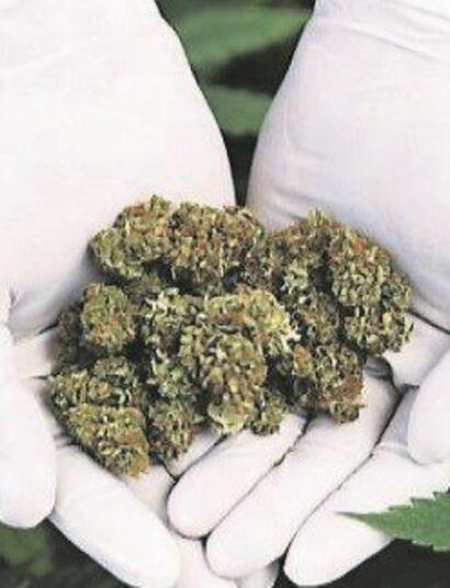 First licence granted to treat pain with cannabis