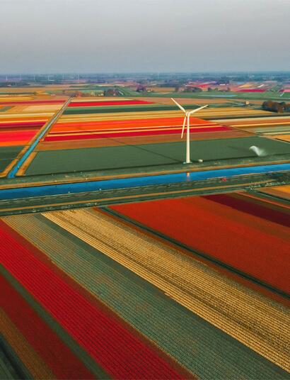 In den Niederlanden verwendet die überwiegende Mehrheit der Patienten medizinisches Cannabis ohne ärztliche Verschreibung.